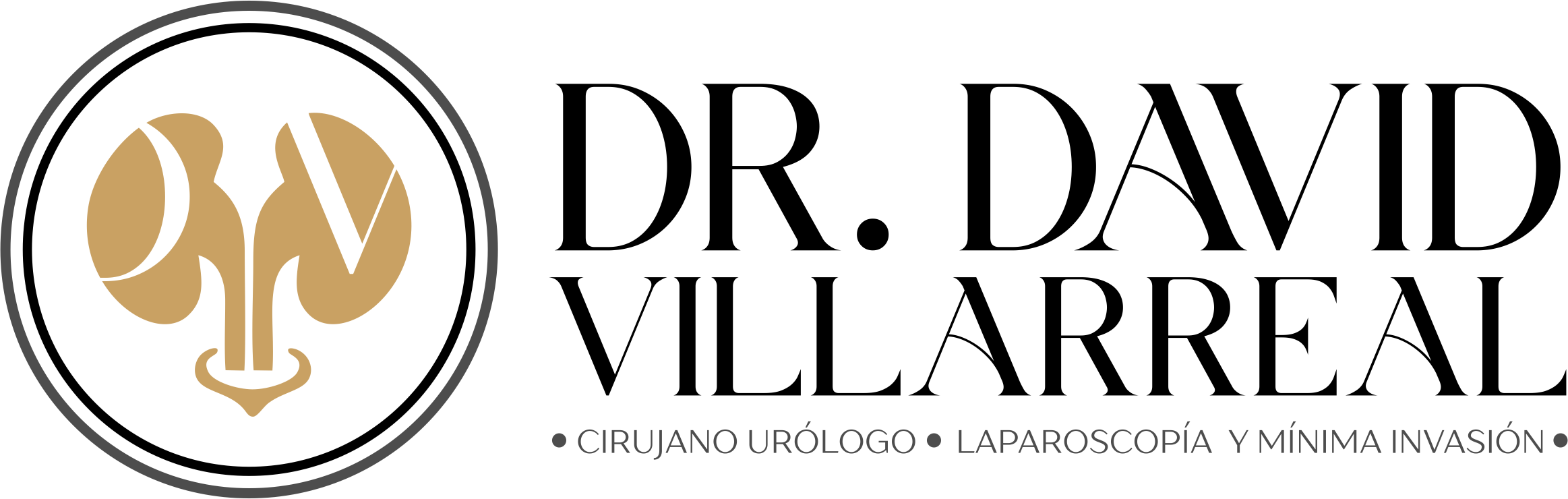 Dr. David Villarreal Vargas Logo